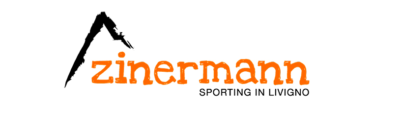 Logo-Zinermann