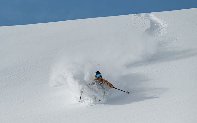 Formula - Blossom Skis