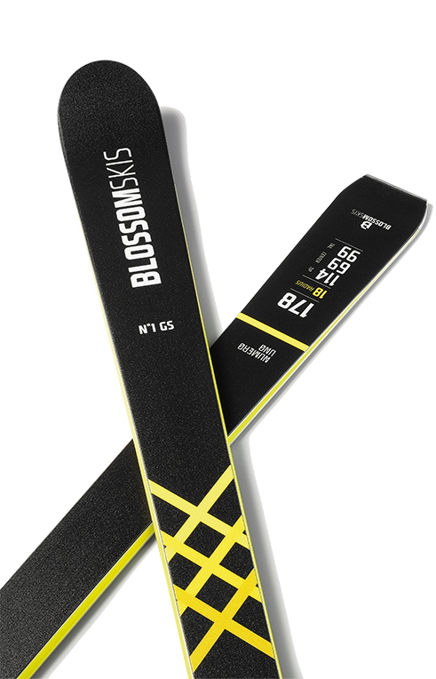 N1-GS