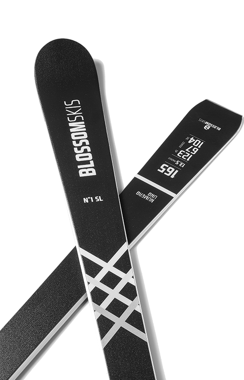 N1-SL
